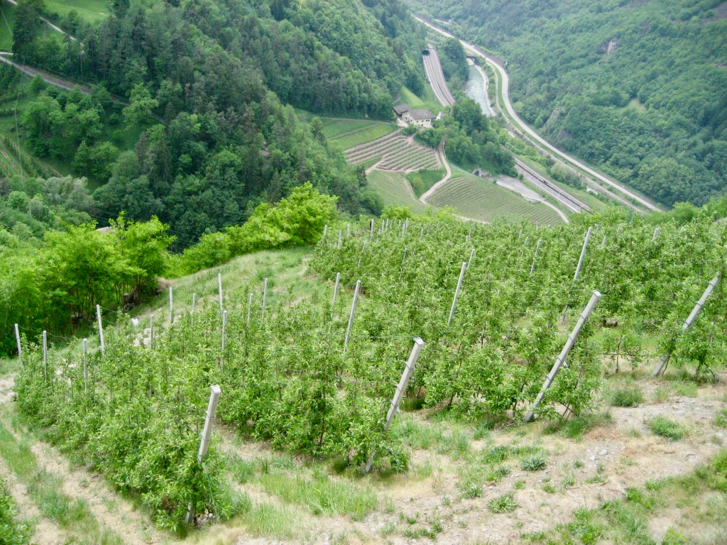 2007_trainingslager_canazei_tag06_006