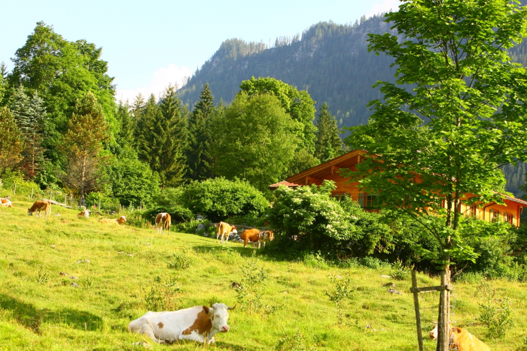 2008_berchtesgadener_land_radmarathon_012