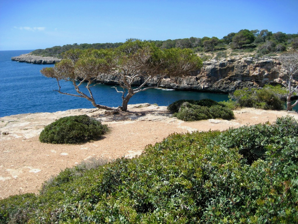 2008_trainingslager_alcudia_tag08_017