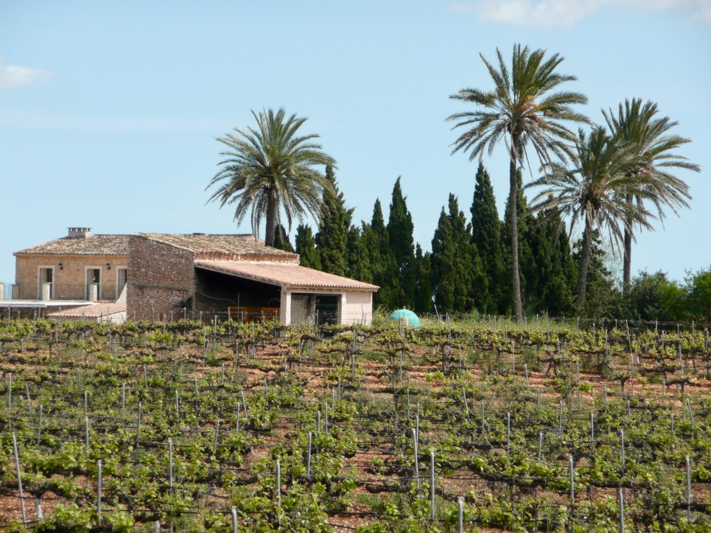 2010_trainingslager_alcudia_2_ralf_007