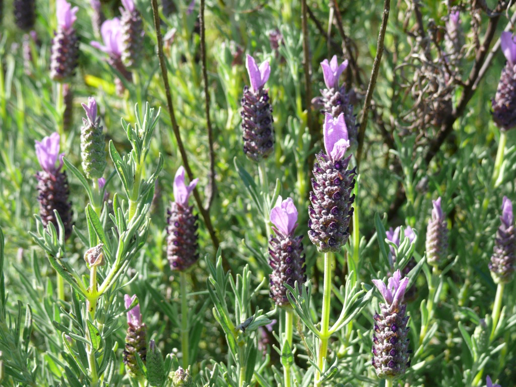 2011_trainingslager_olhos_de_agua_guenter_015