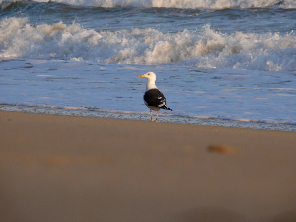 2011_trainingslager_olhos_de_agua_guenter_055