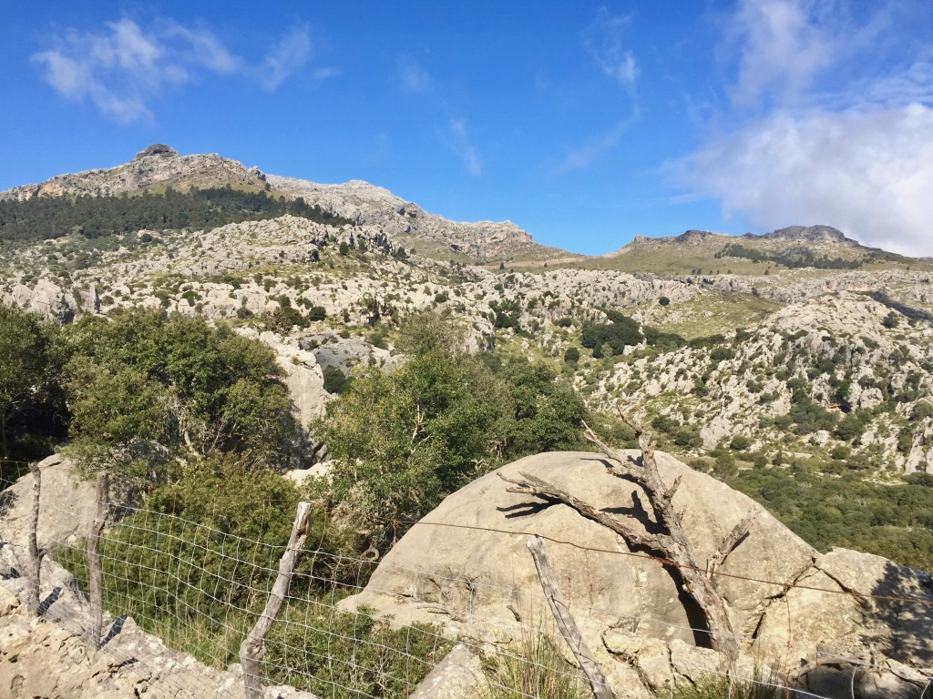 2015_trainingslager_alcudia_052