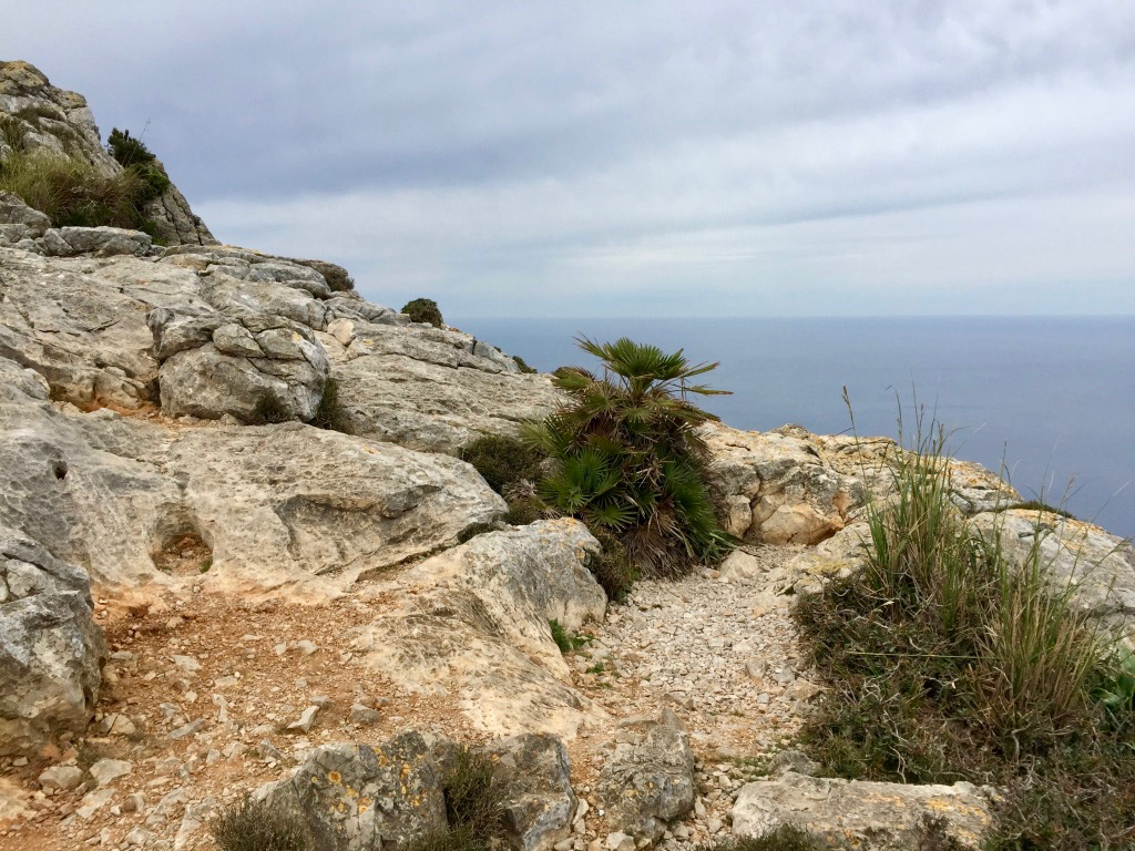 2015_trainingslager_alcudia_089