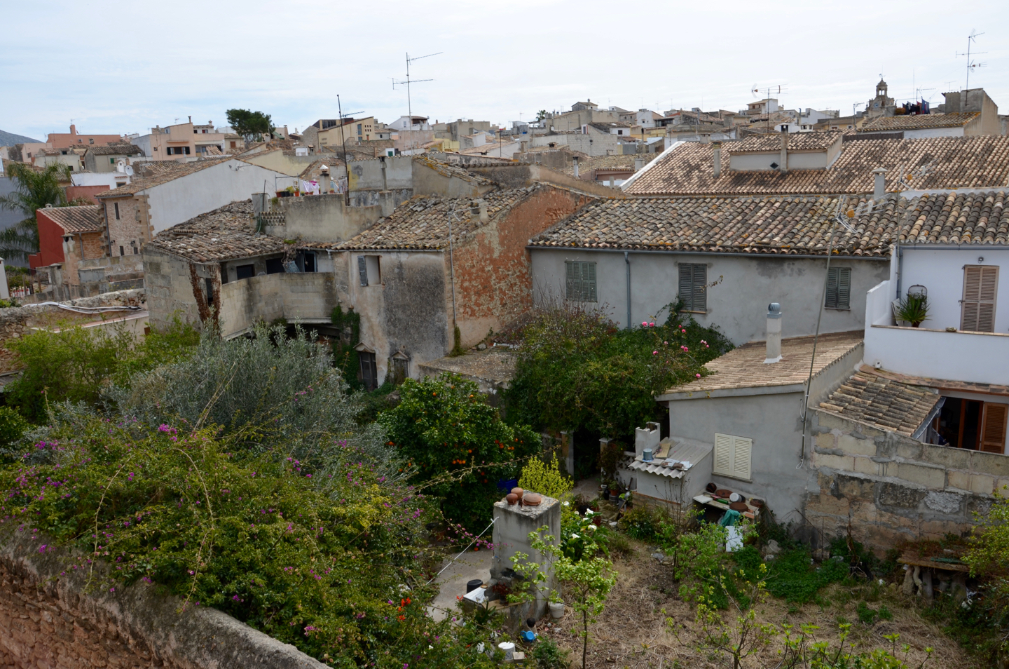 2016-03-23-tl-alcudia11