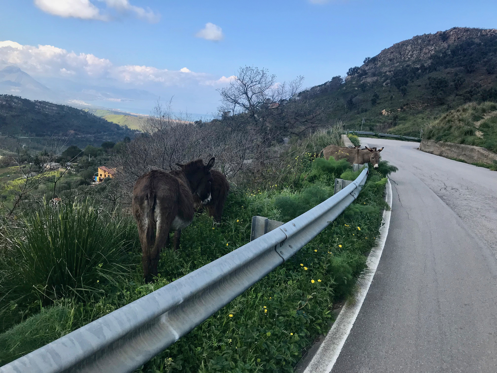 2018-03-27-tl-cefalu04