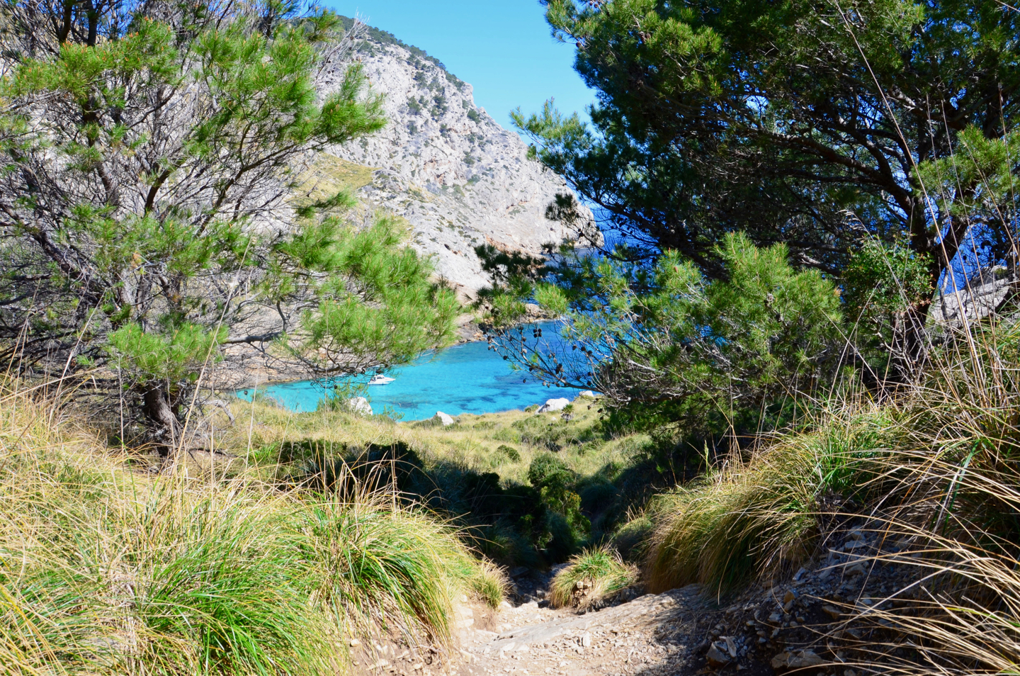 zzz2016-03-23-tl-alcudia05