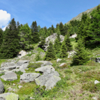 2014-08-06-kette-rechts-mtb-tour05.jpg