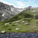 2014-08-06-kette-rechts-mtb-tour20.jpg