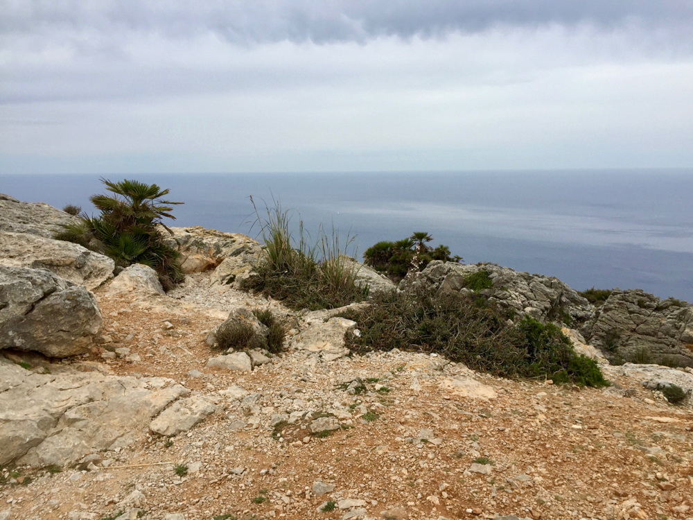 2015-04-15-tl-alcudia11.jpg