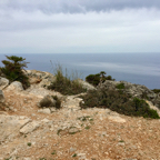 2015-04-15-tl-alcudia11.jpg