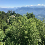 2018-06-16-urlaub-kaltern01.jpg